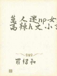 万人迷np女嬷高辣h文小说免费阅读