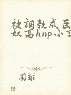 被调教成巨乳奶奴高hnp小说