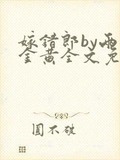 嫁错郎by两面金黄全文免费阅读笔趣阁