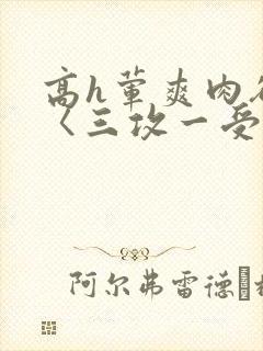 高h荤爽肉欲文〈三攻一受〉封面