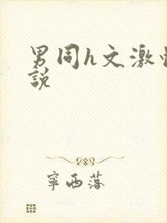 男同h文激情小说
