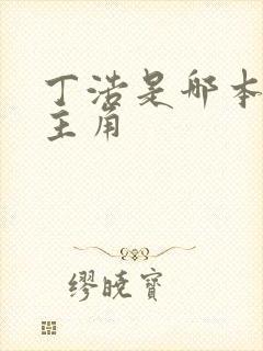 丁浩是哪本小说主角