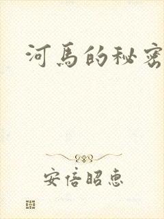 河马的秘密河封面