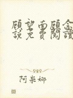 顾望南顾念北小说免费阅读最新章节封面