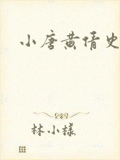 小唐黄倩史