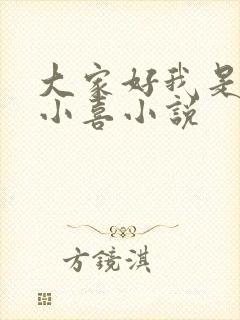 大家好我是叫林小喜小说封面
