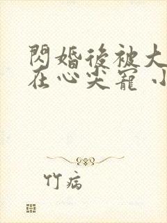 闪婚后被大佬放在心尖宠 小说完整封面