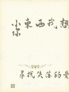 小东西我想弄坏你
