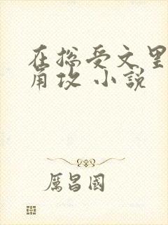 在总受文里抢主角攻 小说