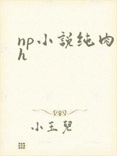 np小说纯肉高h