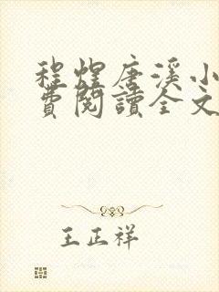 程煜唐溪小说免费阅读全文封面