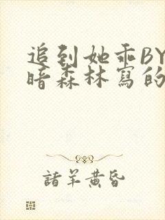 追到她乖BY黑暗森林写的小说封面