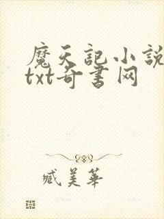 魔天记小说下载txt奇书网
