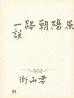 一路朝阳原著小说封面