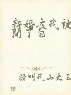 新婚夜我被伴郎开了包封面