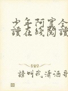 少年阿宾全文阅读在线阅读全文第一季封面