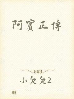 阿宾正传