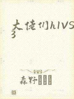 大佬们h1VS3