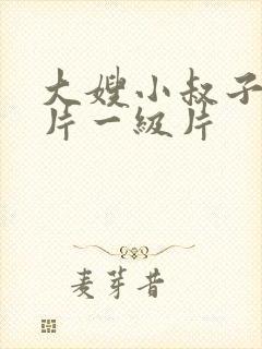 大嫂小叔子一级片一级片