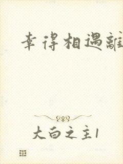 幸得相遇离婚时封面
