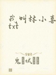 我叫林小喜小说txt封面