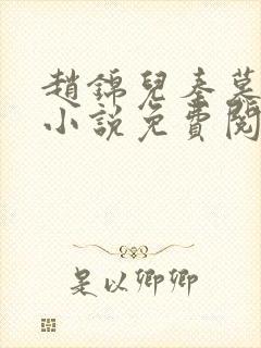 赵锦儿秦慕修的小说免费阅读全文