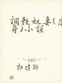 调教奴妻(虐女身)小说封面