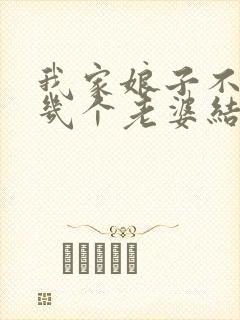 我家娘子不对劲几个老婆结局封面