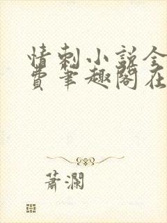 情刺小说全文免费笔趣阁在线阅读