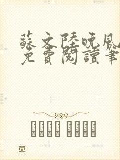 苏文陆晚风小说免费阅读笔趣阁
