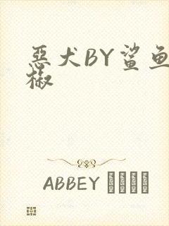 恶犬BY鲨鱼辣椒
