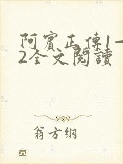 阿宾正传1—72全文阅读