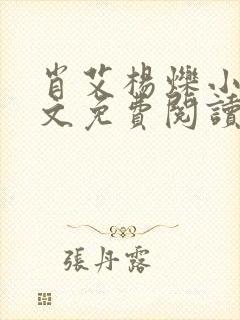 肖艾杨烁小说全文免费阅读笔趣阁