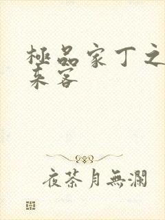 极品家丁之远方来客