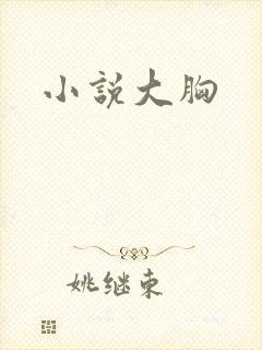 小说大胸封面