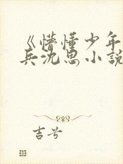 《懵懂少年》李兵沈思小说