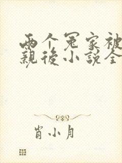 两个冤家被迫成亲后小说全文阅读封面