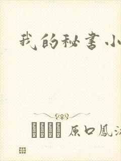 我的秘书小姐