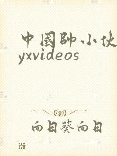 中国帅小伙gayxvideos