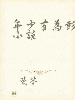 年少有为彭昱畅小说