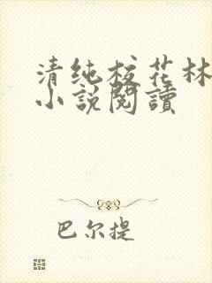 清纯校花林思琪小说阅读