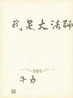 我是大法师封面
