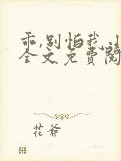 乖,别怕我小说全文免费阅读