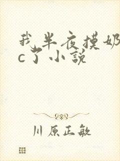 我半夜摸奶把她c了小说