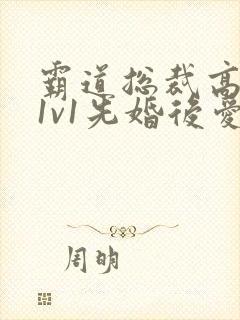 霸道总裁高干文1v1先婚后爱小娇妻