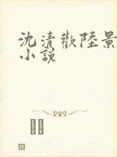 沈清欢陆景琛的小说封面