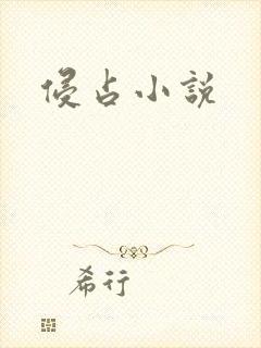 侵占小说