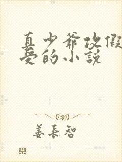 真少爷攻假少爷受的小说