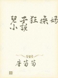 儿子狂操妈妈的小说