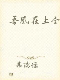 吾凰在上全集